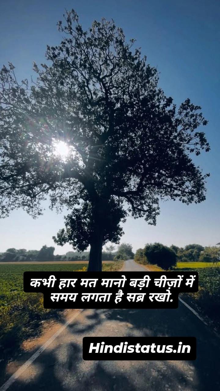 Positive Status in Hindi | Best Positive Vibes Quotes in Hindi, पॉजिटिव स्टेटस इन हिंदी, Motivational Quotes in Hindi to Inspire You Every Day, Positive Quotes to Inspire the Positivity That Sticks Positive Life Quotes To Brighten Your Day, Positive Attitude Quotes to Motivate and Inspire