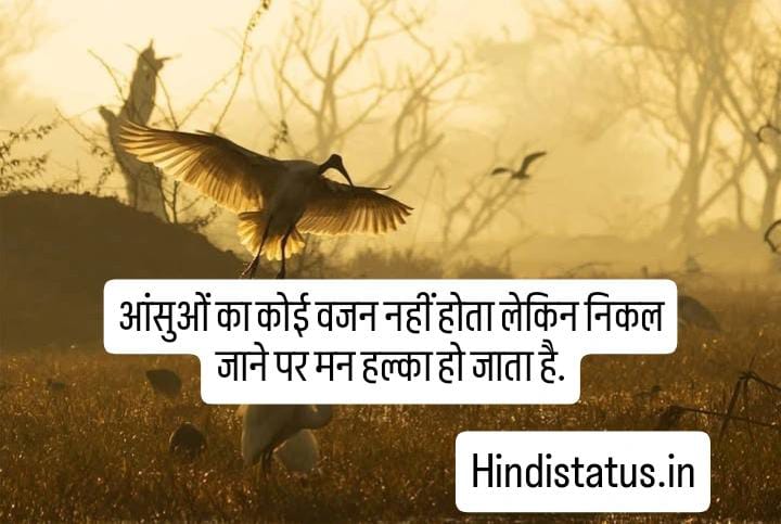 Dard Status in Hindi | Best Dard Shayari, दर्द शायरी, Dard Bhari Shayari in Hindi, दर्द भरी बेवफाई शायरी हिंदी, Emotional Shayari In Hindi, दर्द ए दिल, Dard Bhare Status in Hindi, किसी की याद में दर्द भरी शायरी Zindagi Tere Naam, दर्द स्टेटस इन हिंदी, दर्द पर सुविचार अनमोल वचन हिंदी में, Sad Quotes in Hindi दर्द से भरे सैड कोट्स इन हिंदी