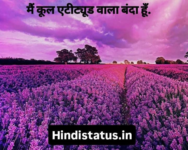 Cool Status in Hindi | Best  Cool Status, I Am Cool Quotes Words दमदार कूल स्टेटस इन हिंदी स्टाइलिश बॉय स्टेटस इन हिंदी Cool Status in Hindi for boy लाइफ कोट्स सुविचार स्टेटस