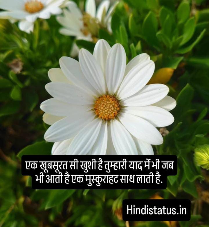 Best Dialogues Mohabbatein Status in Hindi | Best New, Mohabbatein Status, मोहब्बत स्टेटस इन हिंदी Mohabbatein Bollywood Dialogues By Hindi Movies, Full Screen Mohabbatein Movie Song Whatsapp Status Love shayari Hindi Mohabbat Shayari 2 Lines, years of Mohabbatein Unforgettable Dialogues From the Film, Mohabbatein Dialogue Valentine Day Special, मोहब्बत पर ख़ूबसूरत शेर मोहब्बत पर बेहतरीन शेर का संकलन