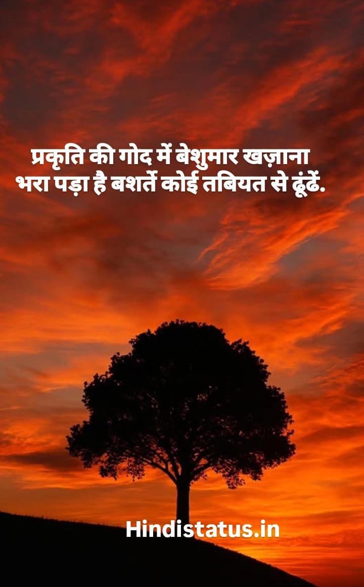 Best Nature Status in Hindi | Best Nature Status, Nature Quotes of Wonder Beauty and Power, नेचर कोट्स इन हिंदी Nature Quotes for all Lovers of Natural Beauty, नेचर स्टेटस इन हिंदी Free and Customizable Nature Quotes Templates, Nature Quotes In Hindi Nature quoteseriffic, Nature Quotes in Hindi प्रकृति पर कोट्स हिंदी