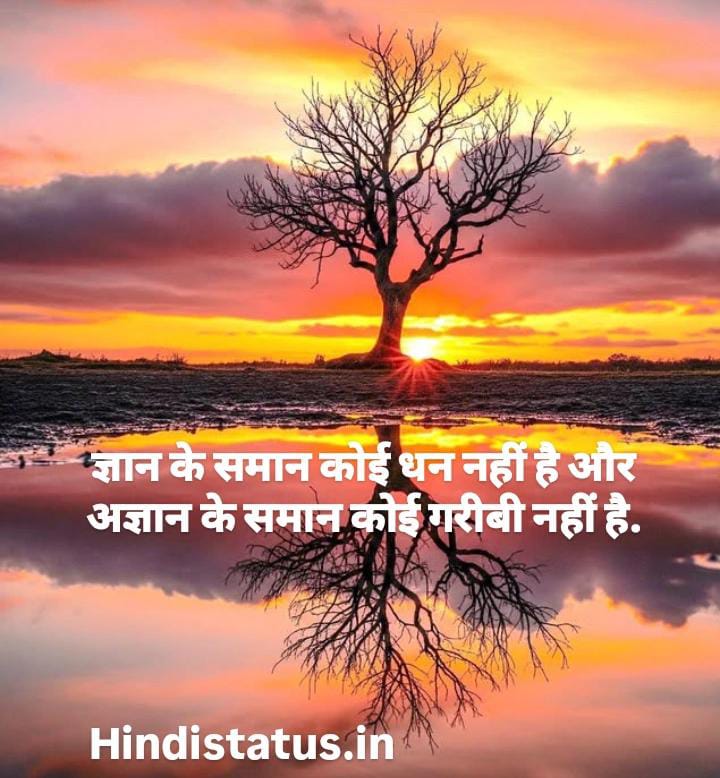 Knowledge Status in Hindi | Best Knowledge Status, नॉलेज कोट्स इन हिंदी Knowledge Quotes Knowledge Quotes to Share Motivate Empower Your Team, Powerful Quotes About Learning to Inspire You, Quotes about Knowledge By Famous Historical Figures