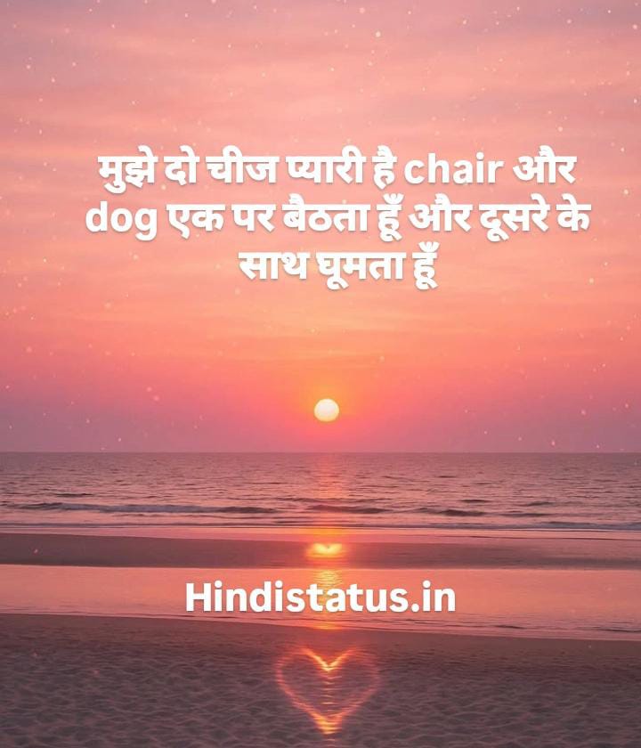 Dog Status In Hindi | Best Cat Status, डॉग स्टेटस इन हिंदी Dog Quotes Captions and Messages Short Dog Quotes for Dog Lovers Pawsome Dog Instagram Captions, Cute and Funny Dog Instagram Captions for Your Favorite Pup, Loss Of Dog Quotes That Put The Grieving Process Into Words 