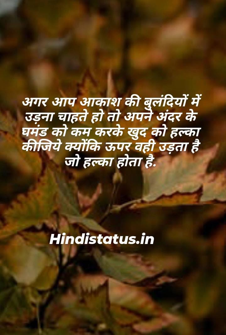 Best Experience Status in Hindi | Best Experience Status, एक्सपीरियंस स्टेटस इन हिंदी Quotes About The Value of Experience, Experience Quotes Status Shayari Poetry Thoughts, Motivational Quotes About Experience That Will Help You एक्सपीरियंस कोट्स इन हिंदी